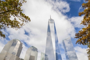 NYC: 9/11 Memorial Tour und optionales Observatorium Ticket