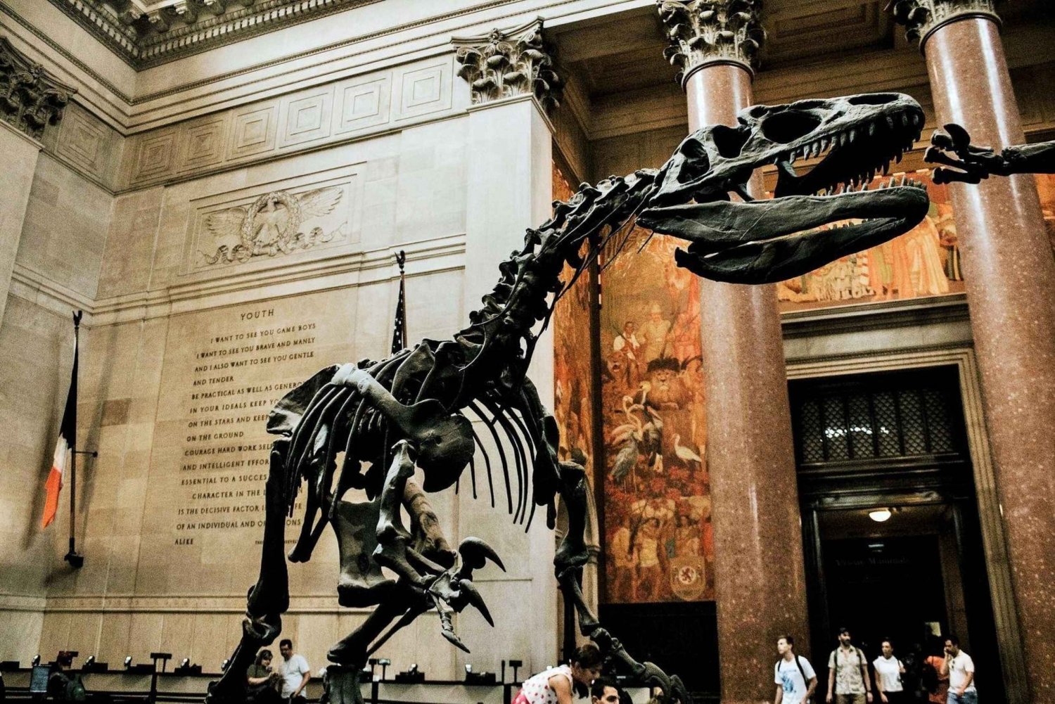 NYC: American Museum of Natural History Biljett- och appguide
