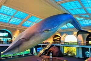NYC: American Museum of Natural History Ticket & App Guide