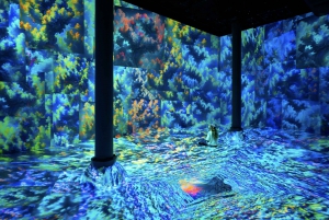 NYC: ARTECHOUSE Immersive Art Experience Entrance Ticket