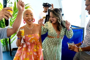 Nueva York: crucero con brunch ilimitado