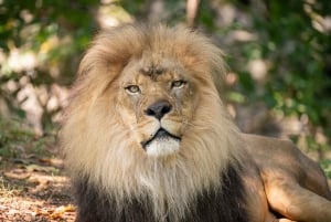 NYC: Bronx Zoo Entry Ticket