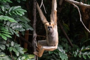 NYC: Bronx Zoo Entry Ticket