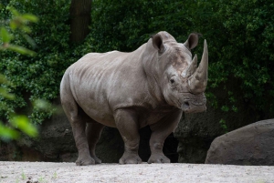 NYC: Bronx Zoo -pääsylipun