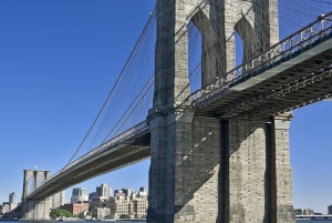 NYC: Brooklyn Bridge en Dumbo District Wandeltour