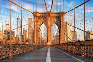 NYC: Brooklyn Bridge, DUMBO og skyline-tur med en lille gruppe