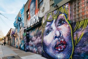 NYC: Wycieczka piesza po Brooklynie z graffiti i sztuką uliczną
