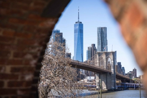 NYC: Matrundtur i Brooklyn Heights och DUMBO Neighborhood