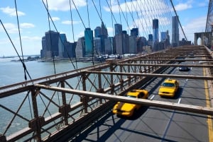 NYC: Tour guidato a piedi di Brooklyn Heights e DUMBO