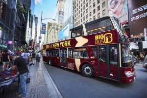 NYC Bundle: Empire State, Big Bus Tour, & Circle Line Cruise