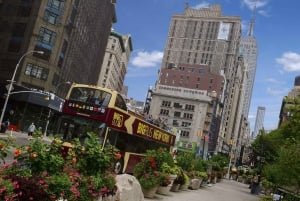 NYC Bundle: Empire State, Big Bus Tour, & Circle Line Cruise