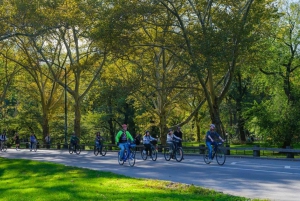 NYC: Central Park Bike Tour & 30+ huippunähtävyyksien kävelykierros.