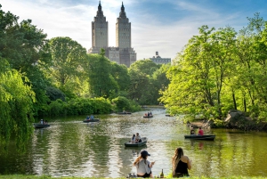 NYC: Central Park Bike Tour & 30+ huippunähtävyyksien kävelykierros.