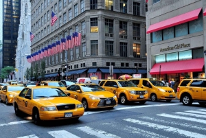 NYC: Tour in bicicletta di Central Park e tour a piedi di oltre 30 luoghi d'interesse