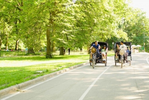 NYC: Visite des maisons de célébrités et des lieux de tournage de Central Park en cyclo-pousse