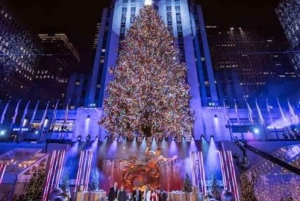 NYC: Rit met de paardenkoets door de kerstverlichting van Central Park