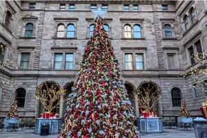 NYC: Rit met de paardenkoets door de kerstverlichting van Central Park