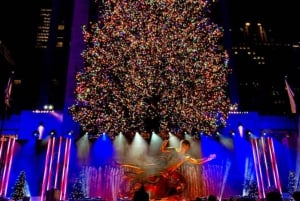 NYC: Central Park Christmas Lights tur i hestevogn