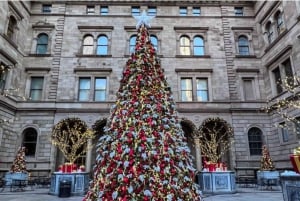 NYC: Central Park Christmas Lights tur i hestevogn