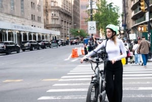 NYC: セントラルパークの電動自転車レンタル