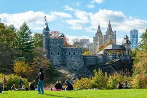 NYC: Central Park Elf & Home Alone Filmspots Pedicab Tour