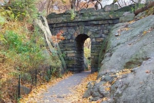 NYC: Central Park Exploration Game and Tour