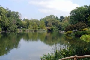 NYC: Central Park Guided Adventure Tour