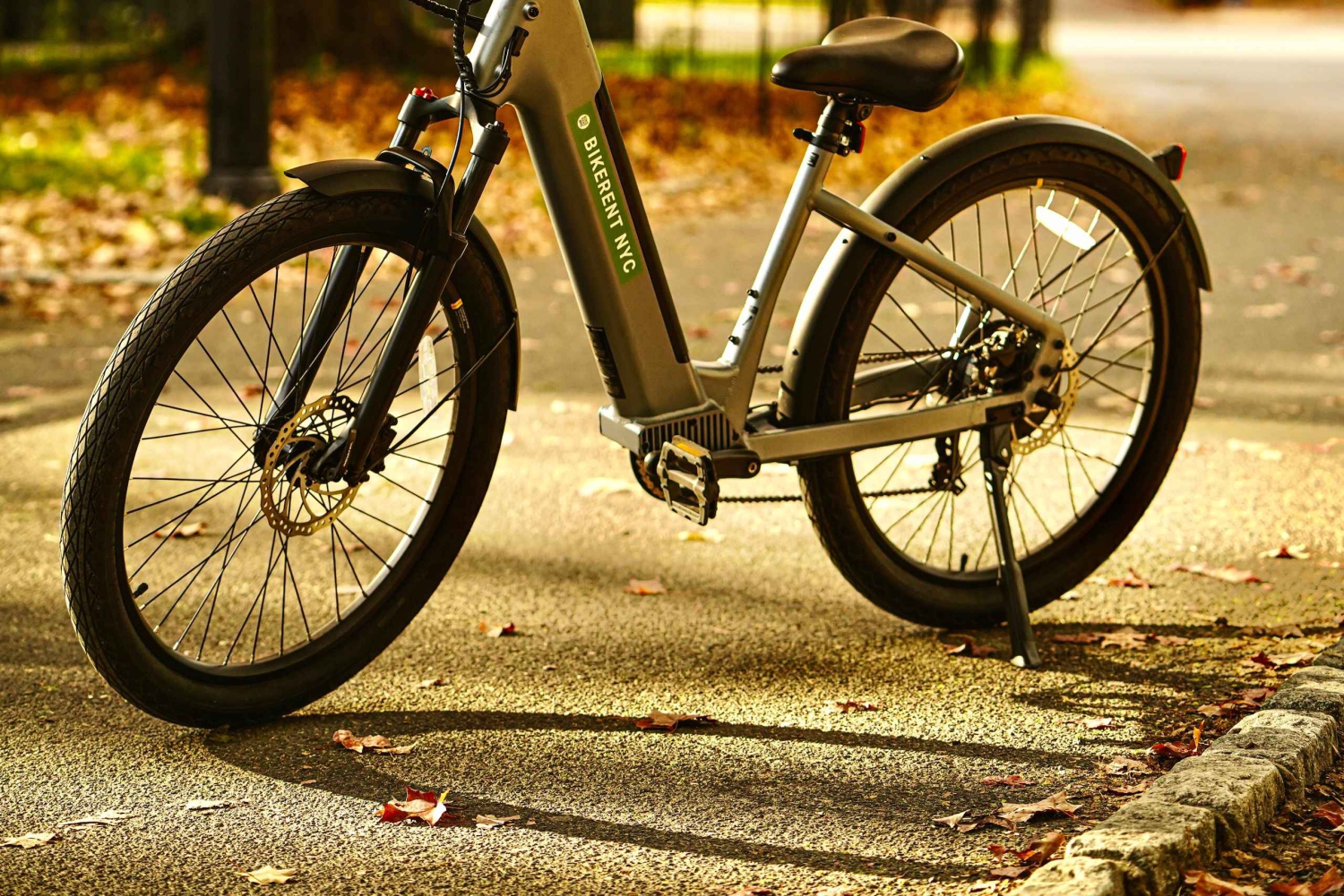 NUEVA YORK: Recorrido guiado en bicicleta eléctrica por Central Park