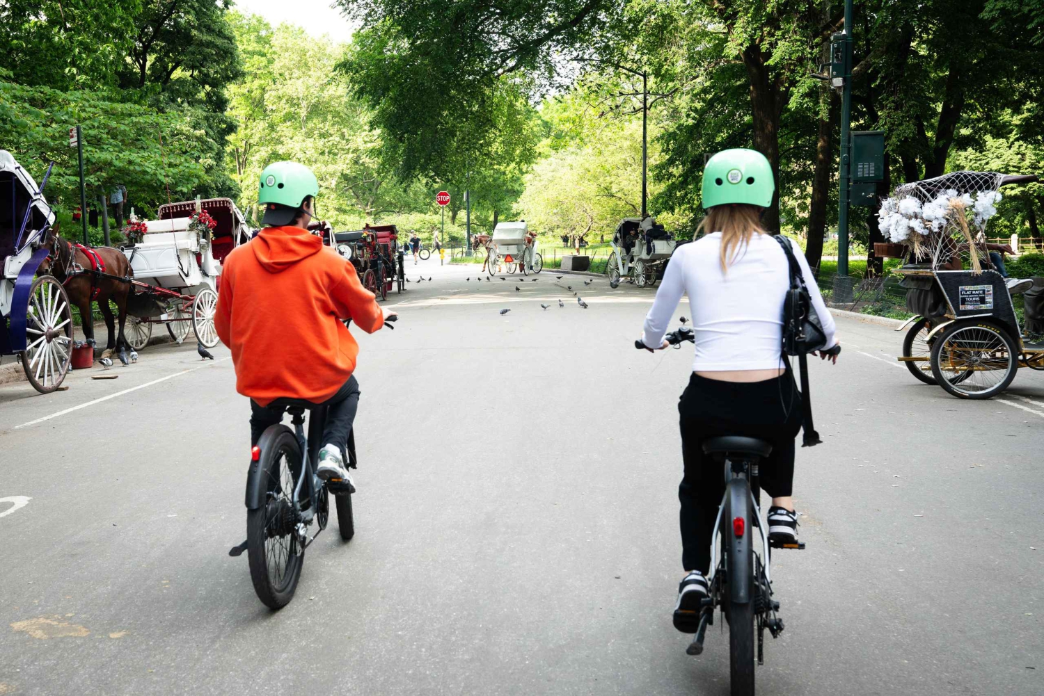 NUEVA YORK: Recorrido guiado en bicicleta eléctrica por Central Park