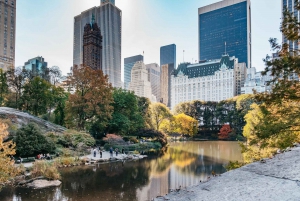 NYC: Tour di Central Park in risciò / Privato e guidato