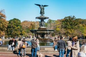 NYC: Tour di Central Park in risciò / Privato e guidato