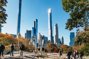 NYC: Central Park Rickshaw Tour / Wycieczka prywatna i z przewodnikiem