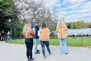 NYC: Tour di Central Park in risciò / Privato e guidato