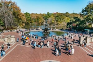 NYC: Central Park Rickshaw Tour / Privat och guidad tur