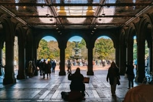 NYC: Central Park Rickshaw Tour / Particular e guiado