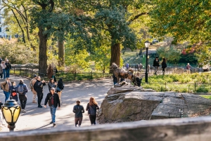 NYC: Central Park Rickshaw Tour / Private and Guided