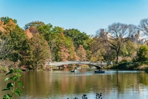 NYC: Central Park Rickshaw Tour / Privat og guidet