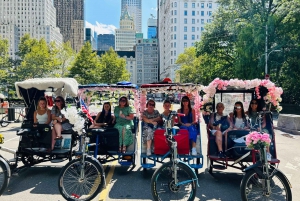 NYC: Rondleiding in een fietstaxi door Central Park