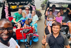 NYC: Tour guiado de pedicab pelo Central Park