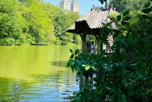 NYC: Omvisning med sykkeltaxi i Central Park