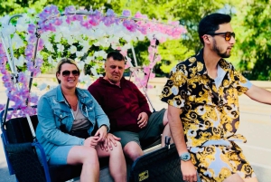 Нью-Йорк: экскурсия на велорикше по Центральному парку