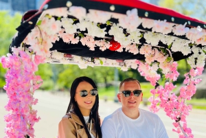 Нью-Йорк: экскурсия на велорикше по Центральному парку