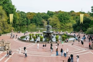 NYC: Central Park Guided Pedicab Tour