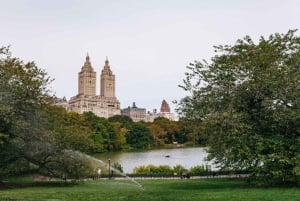 NYC: Central Park Guided Pedicab Tour