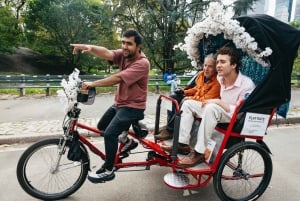NYC: Central Park Guided Pedicab Tour