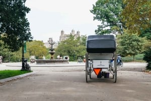 NYC: Central Park Guided Pedicab Tour