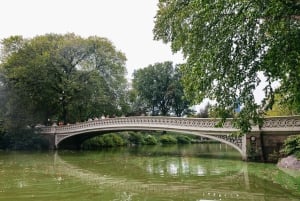 NYC: Central Park Guided Pedicab Tour