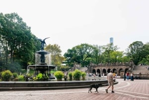 NYC: Central Park Guided Pedicab Tour