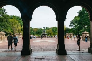 NYC: Central Park Guided Pedicab Tour