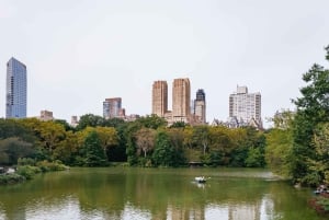 NYC: Central Park Guided Pedicab Tour